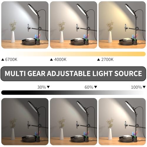 Zoom Lighting for Computer, Adjustable Desk Lighting for Video Callst,55W Black