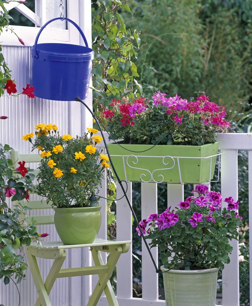 Blumat Medium Watering Kit (12 Pack) - Automatic Self-Drip Irrigation System