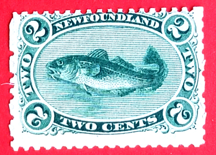 Canada Newfoundland #24 Codfish MNG