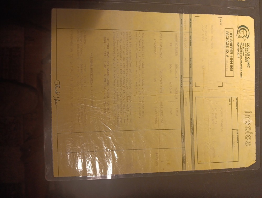 electric dog training collar