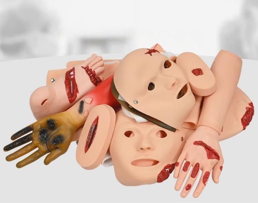 16Pc Trauma Evaluation Module First Aid Simulation Training Model Emergency Care