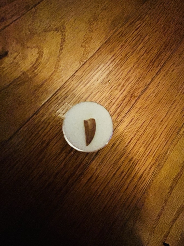 Fossil Raptor Tooth