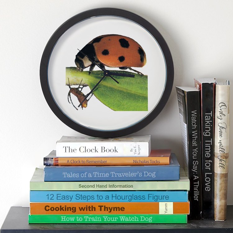 CafePress Ladybug And Aphid 10" Wall Clock (207562583)