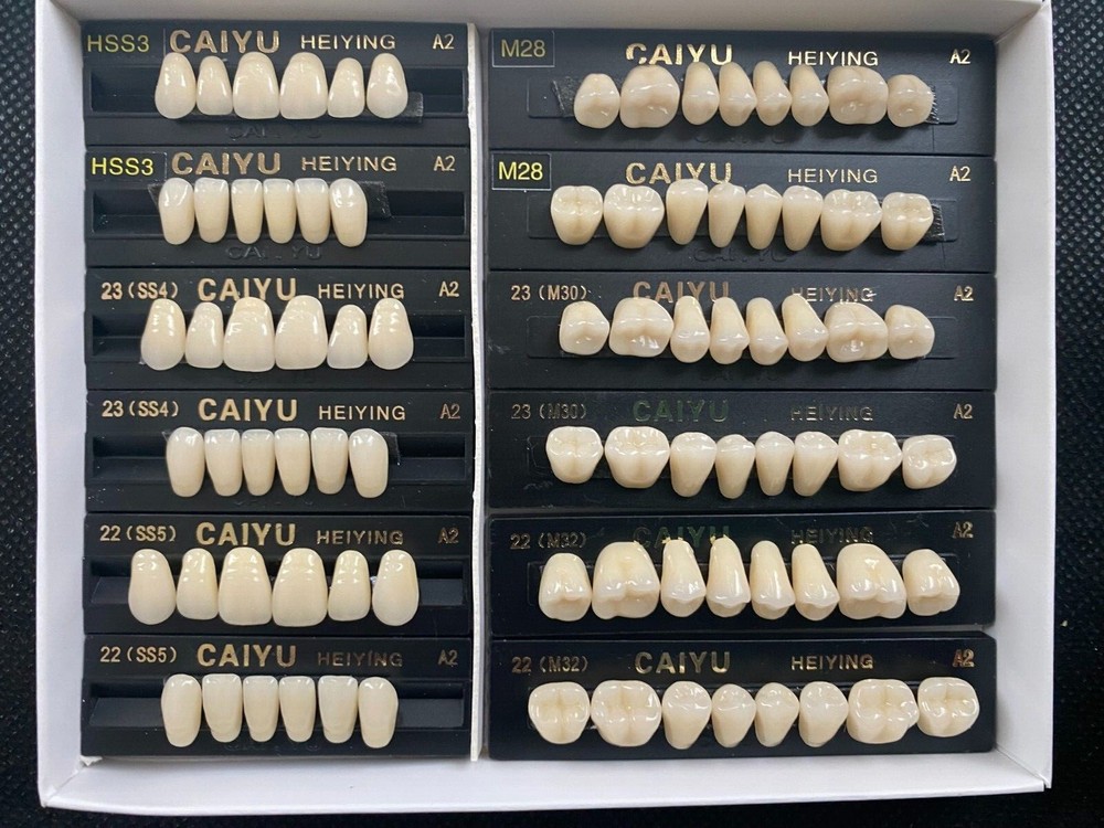 3 Complete Sets High Quality Acrylic Denture Teeth The Same color Different Size