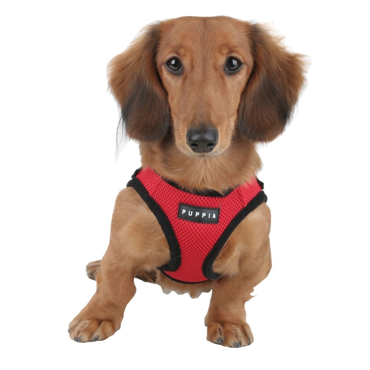 Puppia Mesh Dog Harness Vest No Pull Adjustable Breathable S M L XL XXL 3L AH305