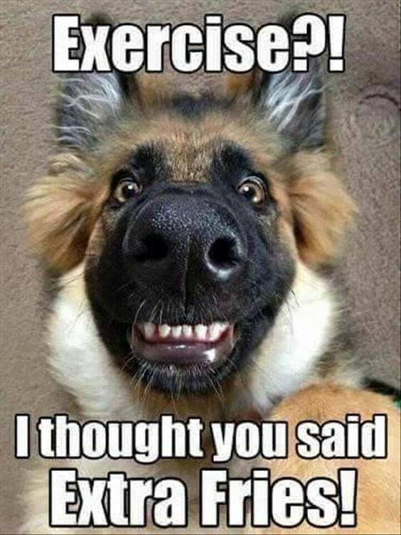 german Shepherd refrigerator magnet 3 1/2 x 4 1/2 "
