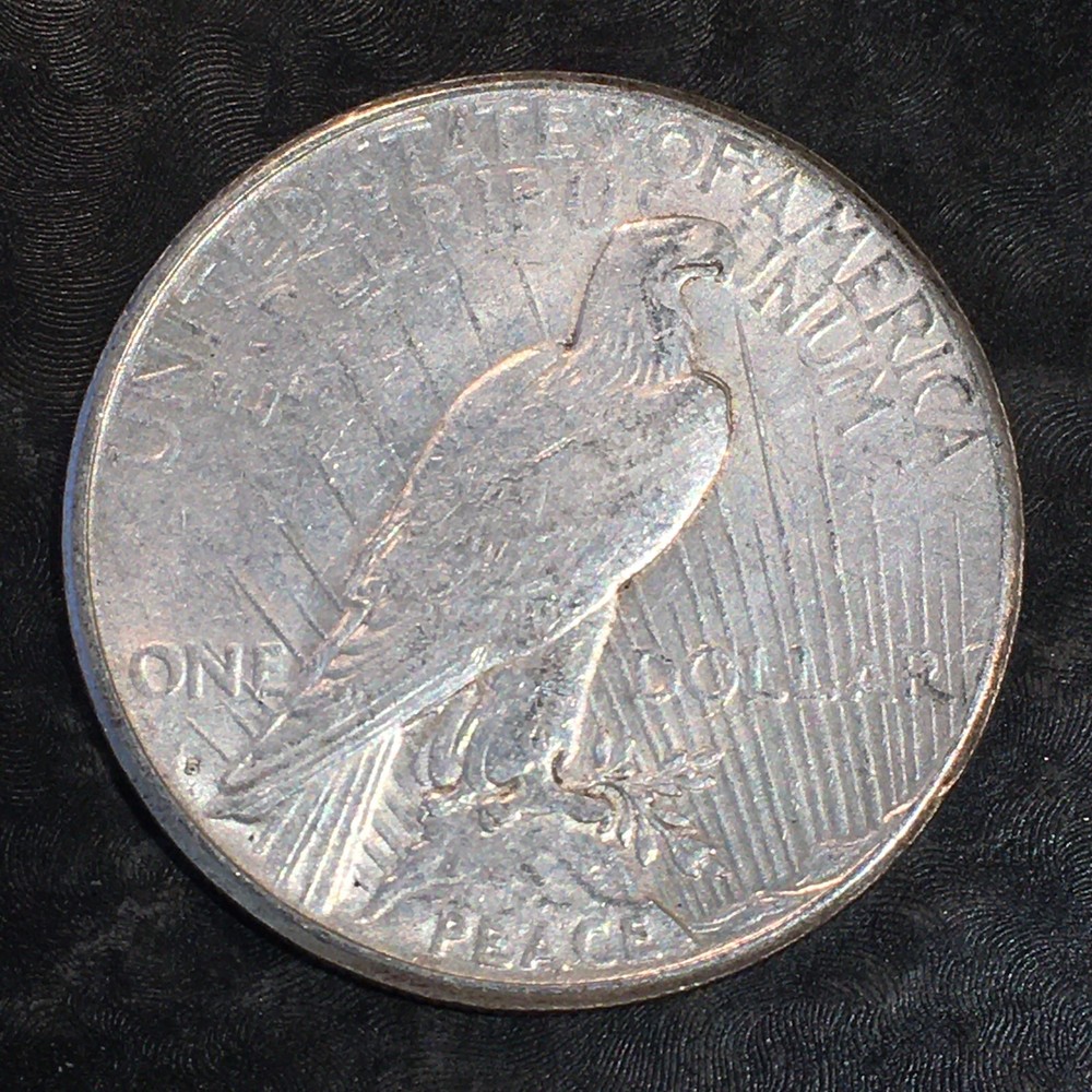 1925-S Peace Silver Dollar - High Quality Scans #805