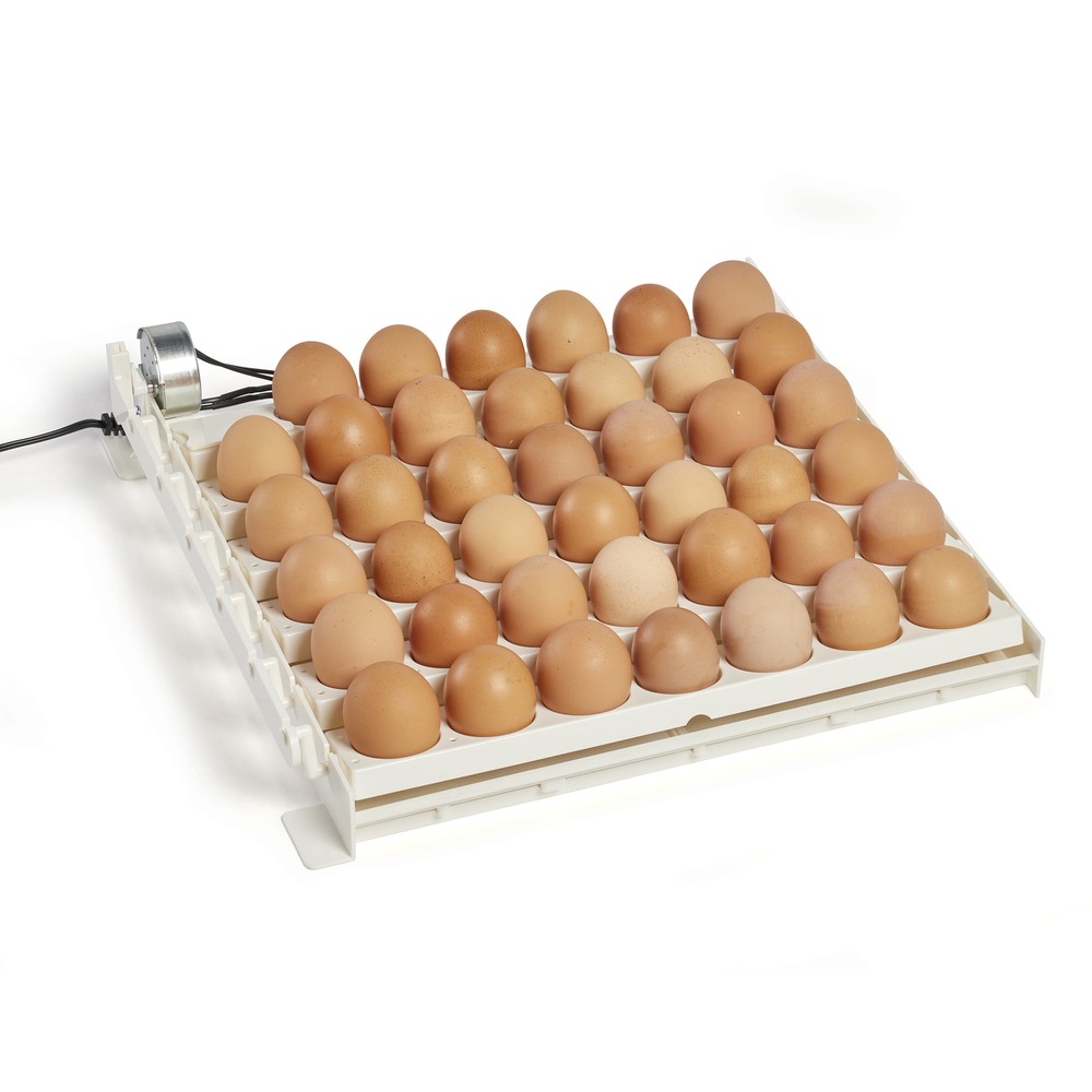 Farm Innovators 3200 Automatic 41 Spot Egg Turner for Improved Hatching (4 Pack)
