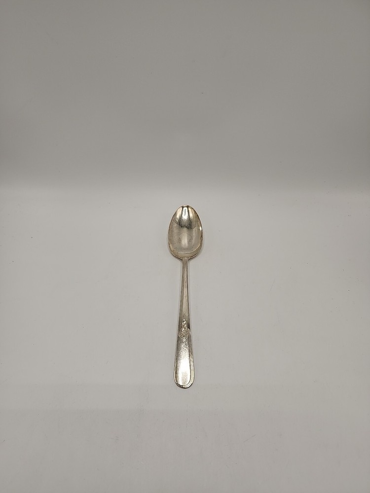 International Silver "Youth" 8 1/2 Inch Serving Spoon