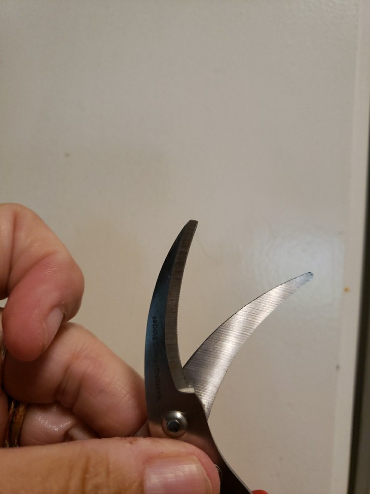 Progressive Seafood Scissors