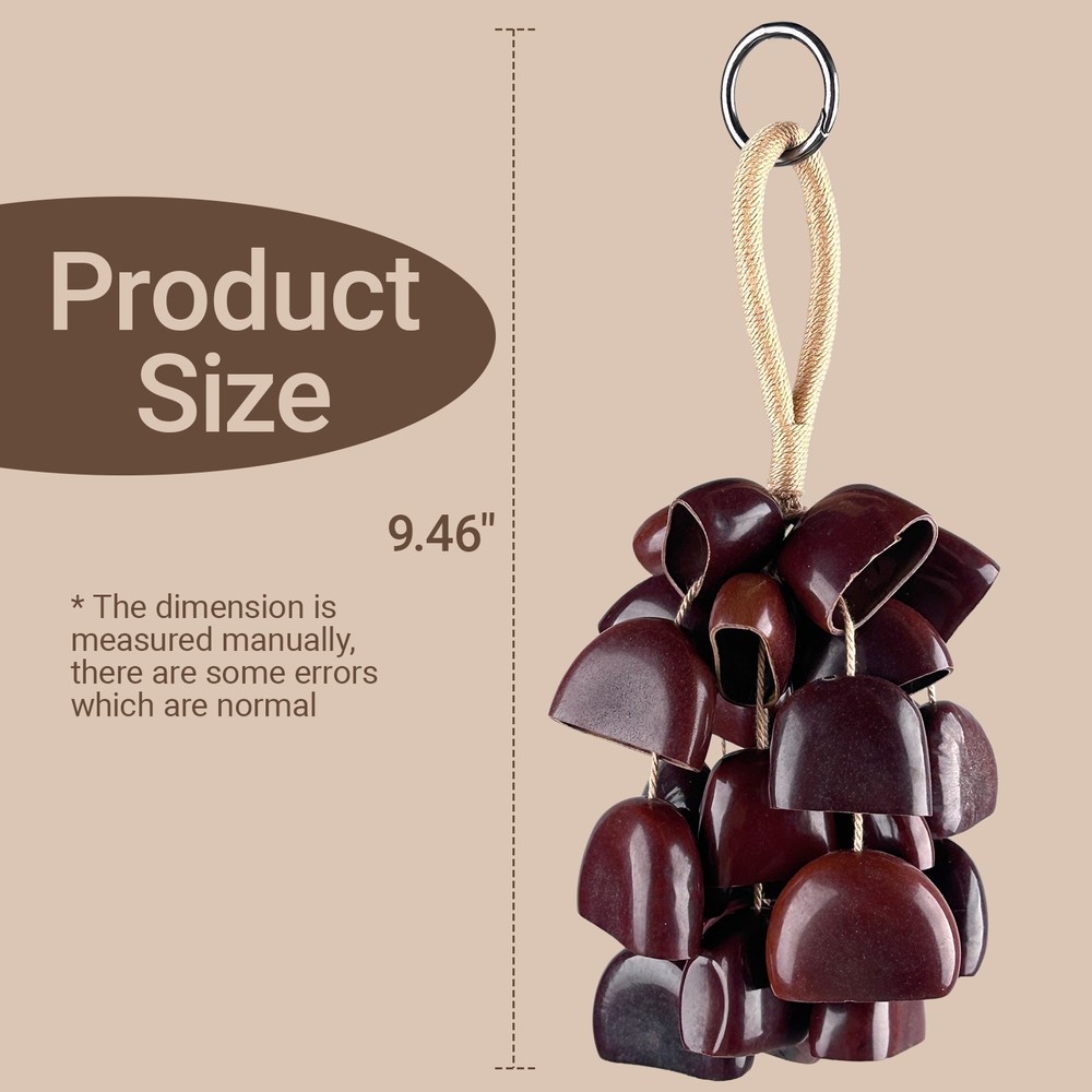African Natural Shell Shaker Nutshell Seed Rattle Hand Percussion Instruments