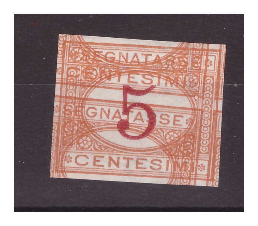 Affranchissement 1890 - 5 Cent. ND Imprimé Double Cadre Neuf MNH