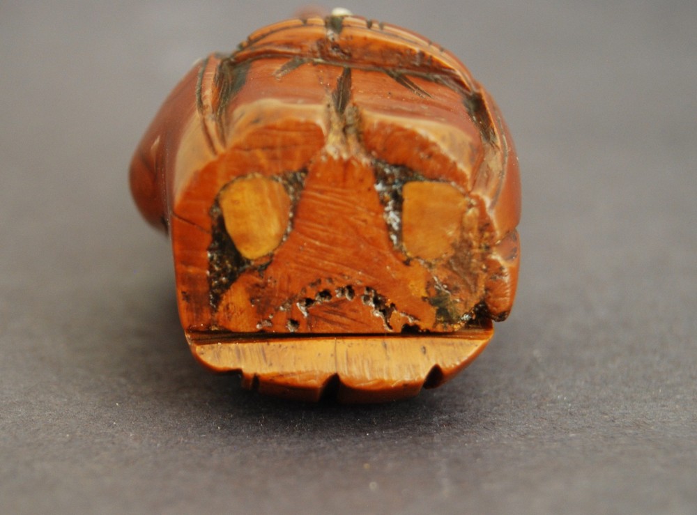 ANTIQUE COQUILLA SNUFF BOX