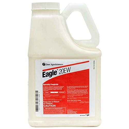 Eagle 20EW Fungicide - Gallon