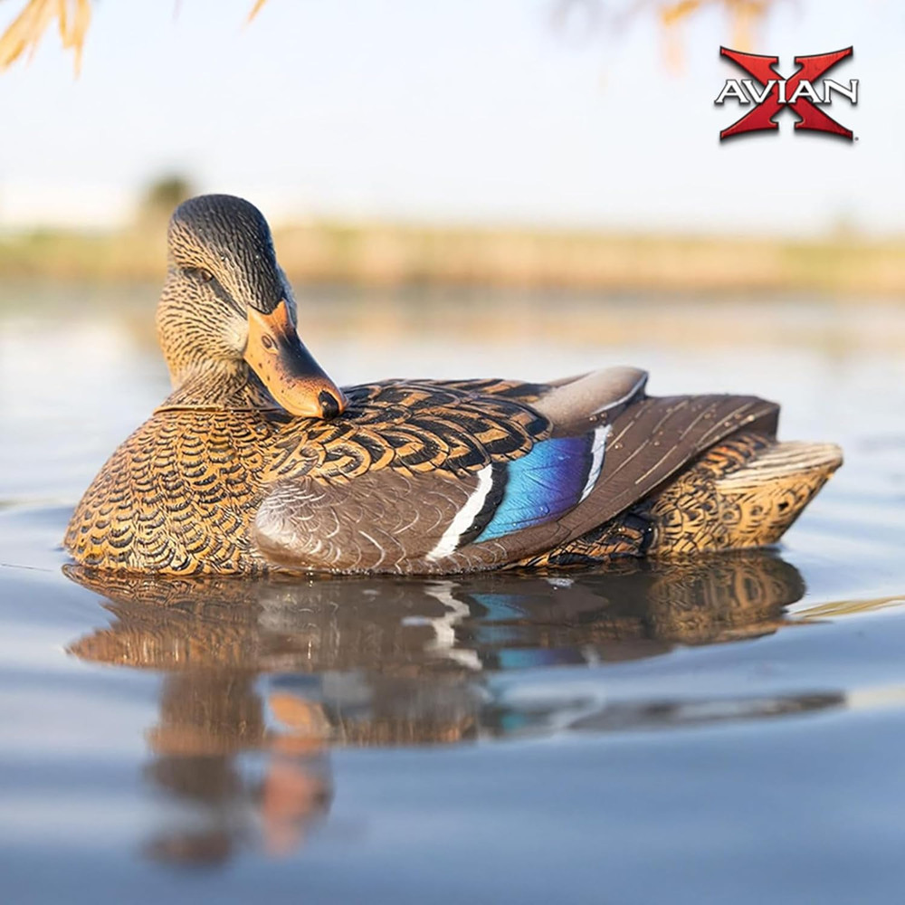 Avian X Power Shaker/Black Duck Surface Feeder