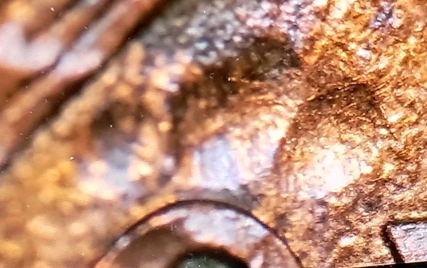 PAW PRINT MINT ERROR OR POST MINT DAMAGE?MACHINE DOUBLING, THIN COPPER LAYER#519