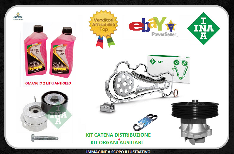 Fiat Punto 1.3 Multijet timing chain kit and water pump + INA service kit