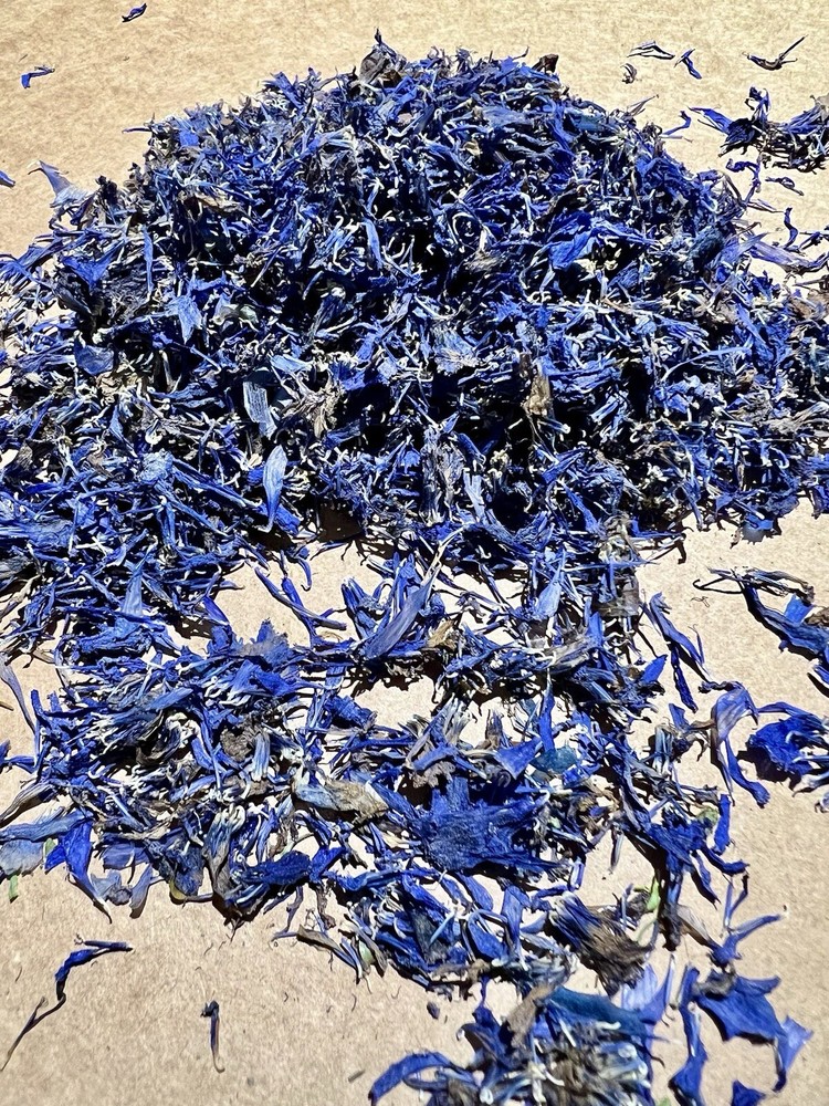 Dried Blue Cornflowers