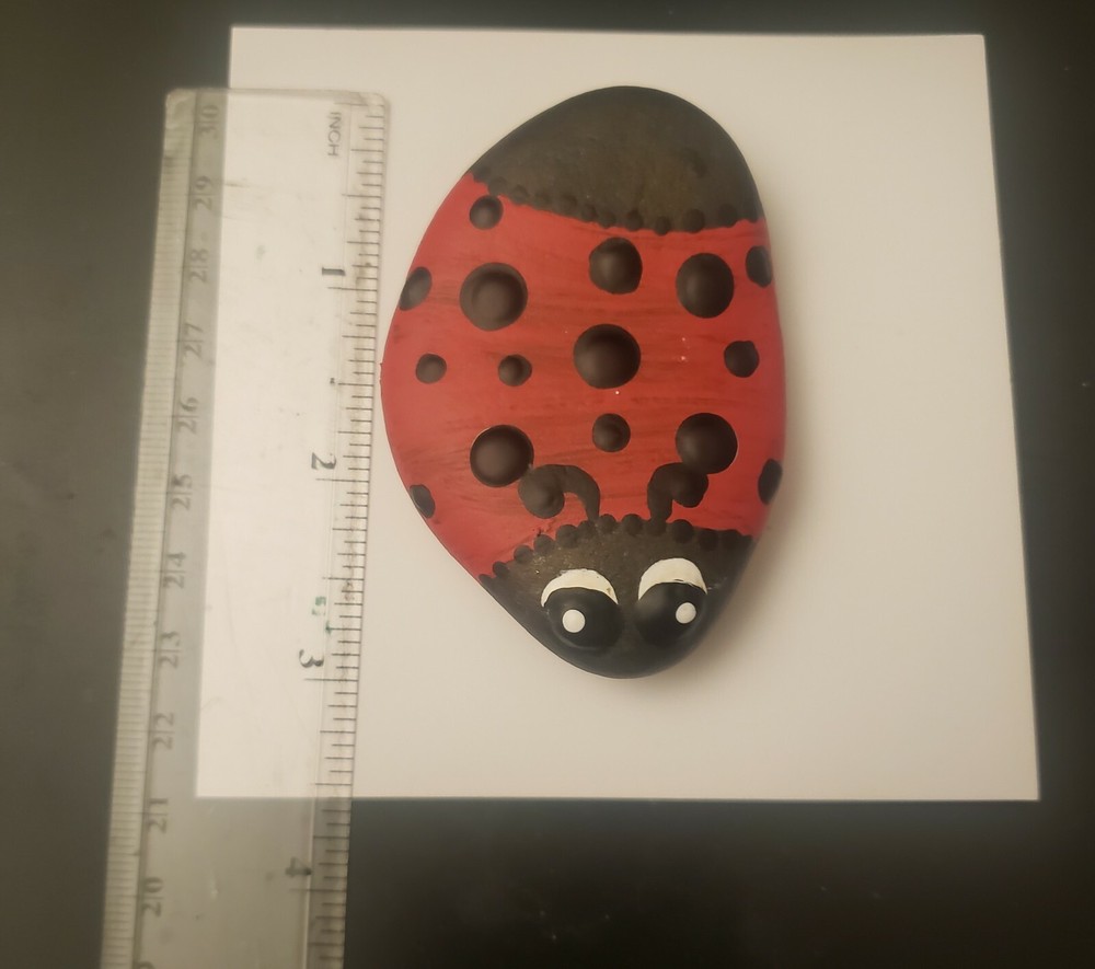 Ladybug painted mandala rock art