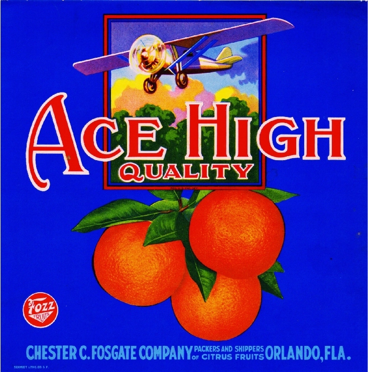 Orlando Florida Ace High Airplane Orange Citrus Fruit Crate Label Art Print