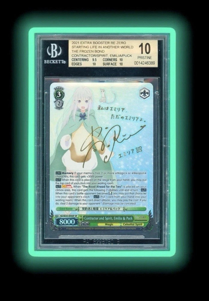Graded Guard Limited Edition Cases Multiple Colors (BGS) *SEALED/OPENED*