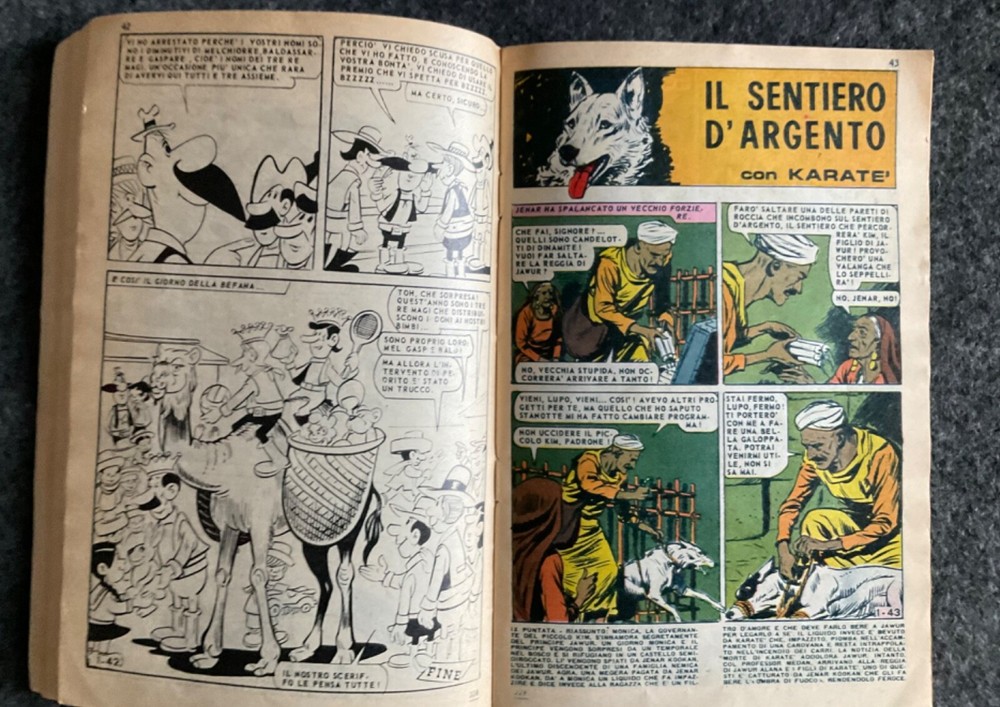 IL MONELLO