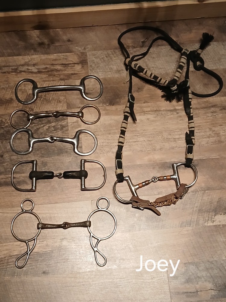 horse bits used