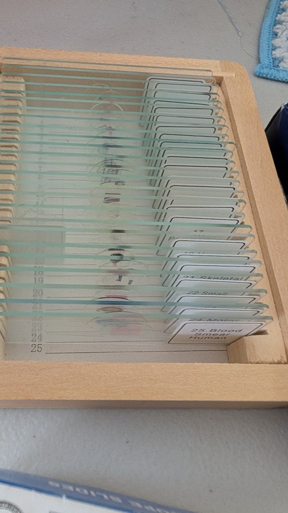 Microscope Slides 50 Blank Slides 31 Prepared Lot