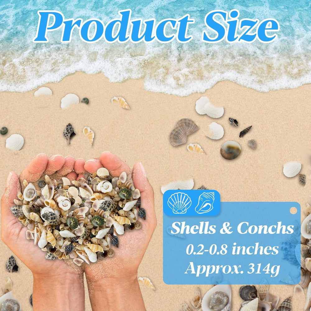 Tiny Seashells for Crafts - Small Sea Shells Mixed Ocean Beach Shells Bulk for H