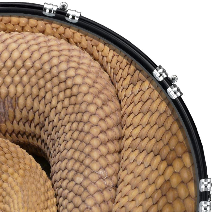 20" Custom Bass Kick Drum Front Head Graphical Graphic Rattlesnake 1