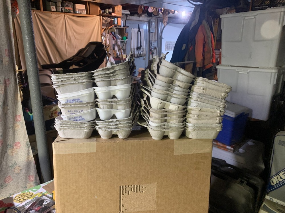 Egg Cartons Used 27 pieces