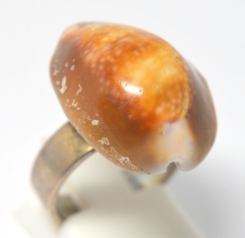ARTISAN 900 SILVER HEAVY RING WITH COWRIE SHELL