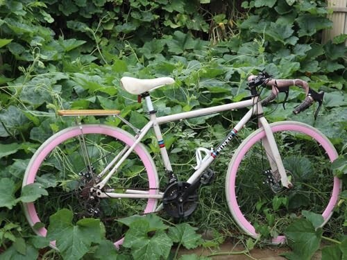 Bamboo bicycle rear rack