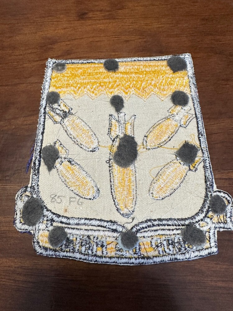 Vintage USAF 85th Fighter Group Patch