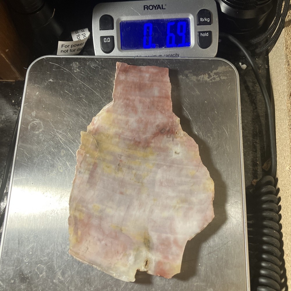 Arizona Petrified Wood Slab