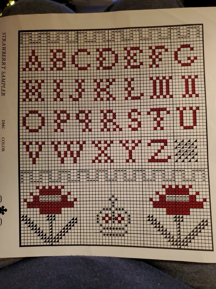 STRAWBERRY SAMPLER from a magazine