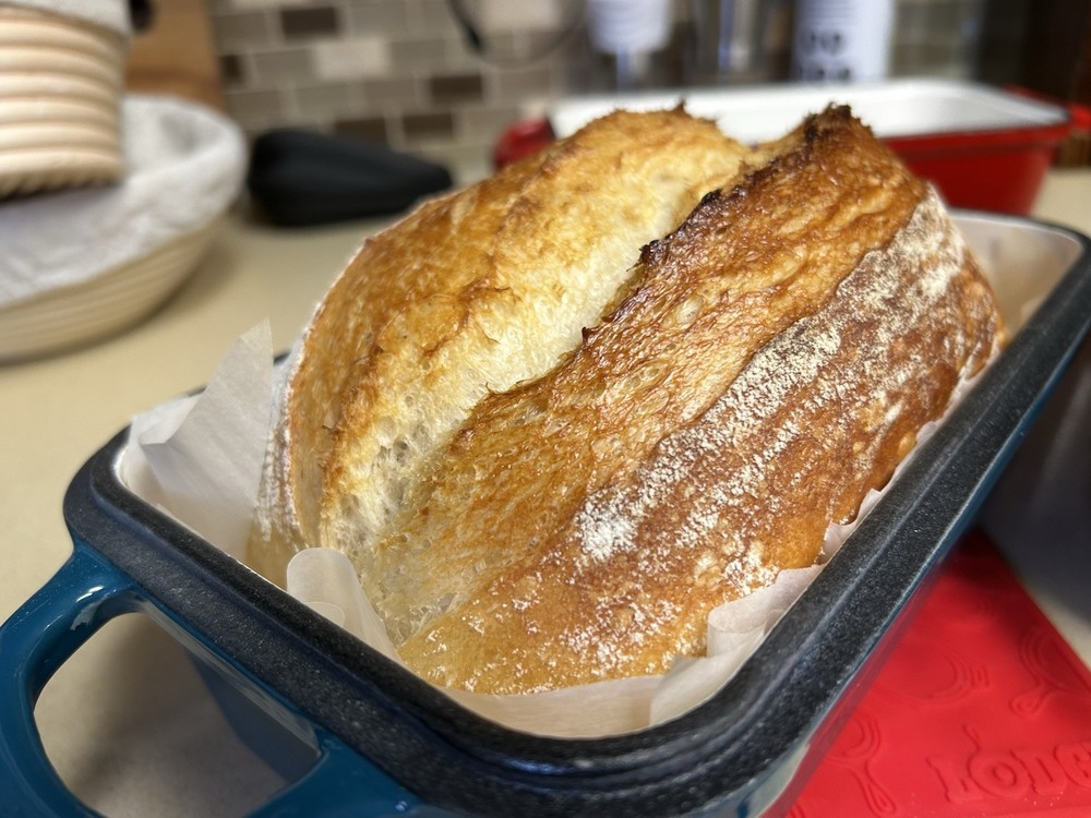 Organic Dehydrated Sourdough Starter