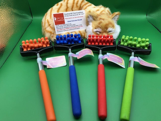 THE ULTIMATE CAT MASSAGER