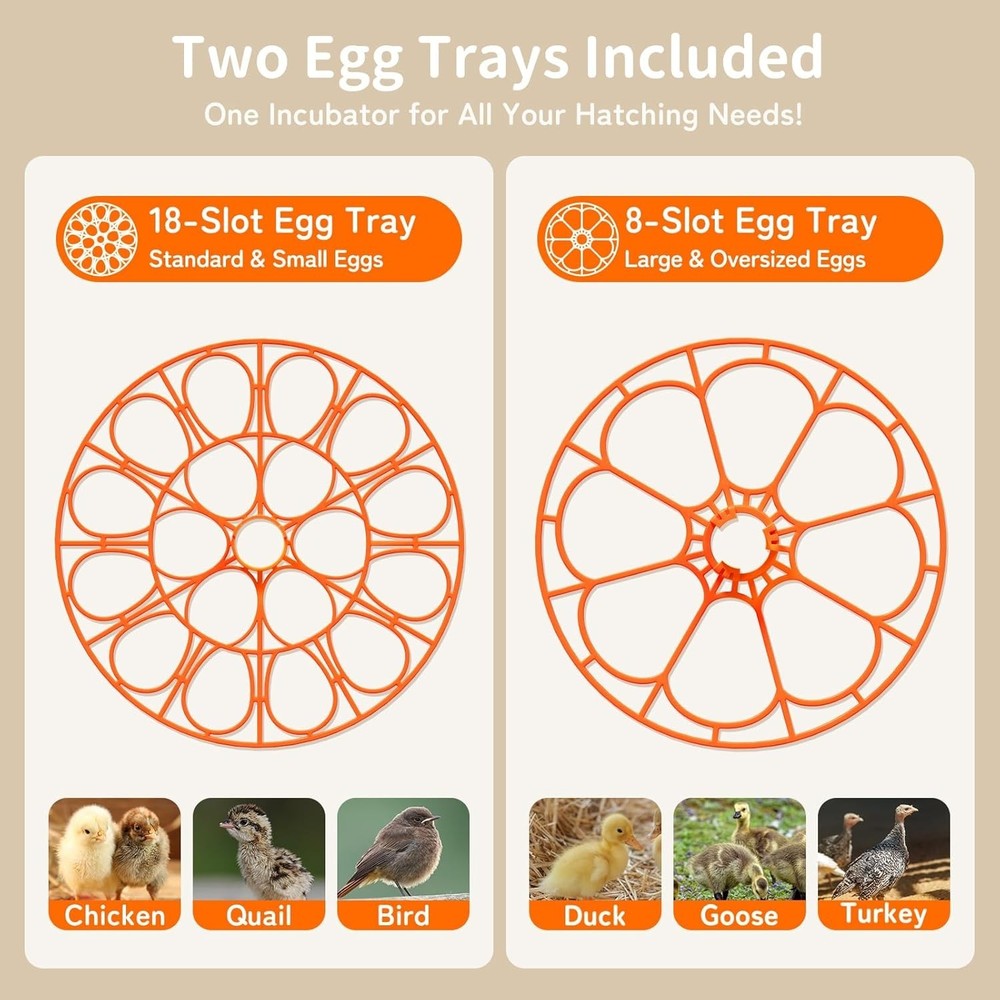 Precision Egg Incubator for 18 Eggs with Automatic Turning & Humidity Control