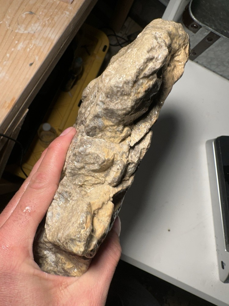 Large Snail Agate Specimen Rough Chunk Natural Gemstone 7lbs 1.2 OZ