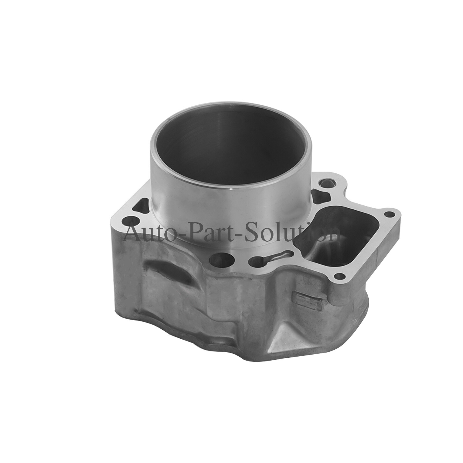 Cylinder Piston Gasket Top End Kit for Honda TRX 520 Foreman Rubicon 12100HR6B00