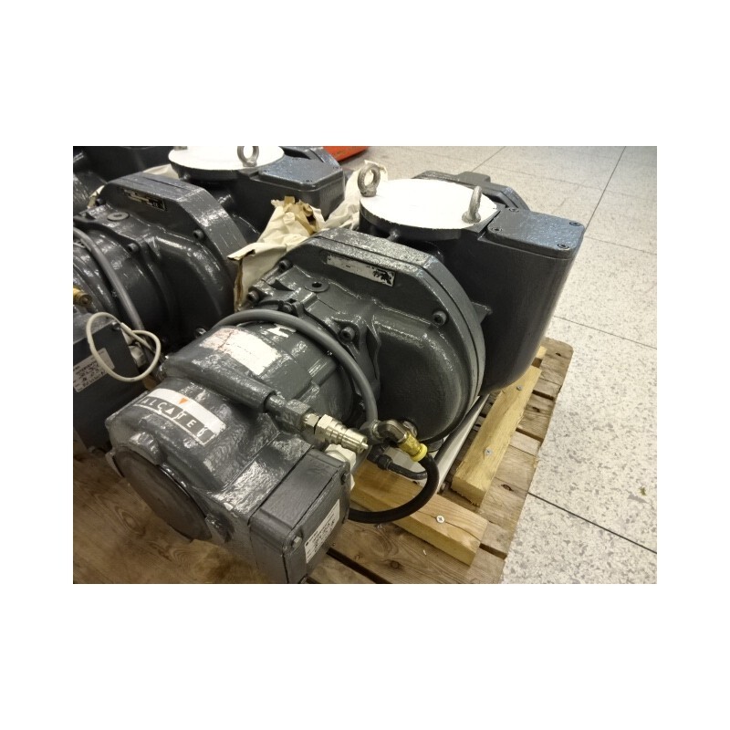 ROOTS VACUUM PUMP