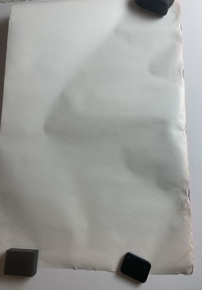 Laurie Anderson Promo Poster Big Science 1982 22X14