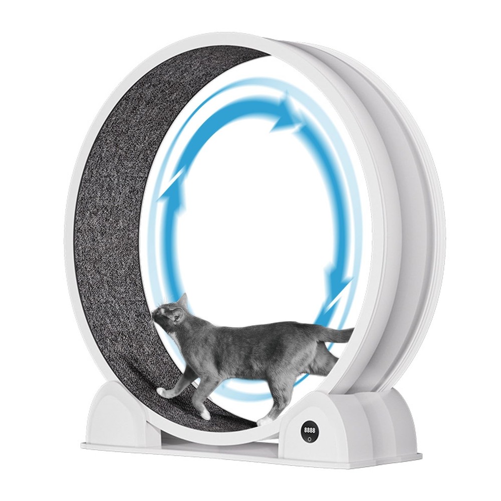 ✨45'' Cat Exercise Wheel ABS Cat Treadmill Small Animal Running Wheels Exerciser