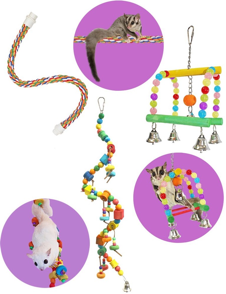 Rainbow Accessory Bundle - Toys / Cage Accessory - Sugar Glider, Squirrel, Degu