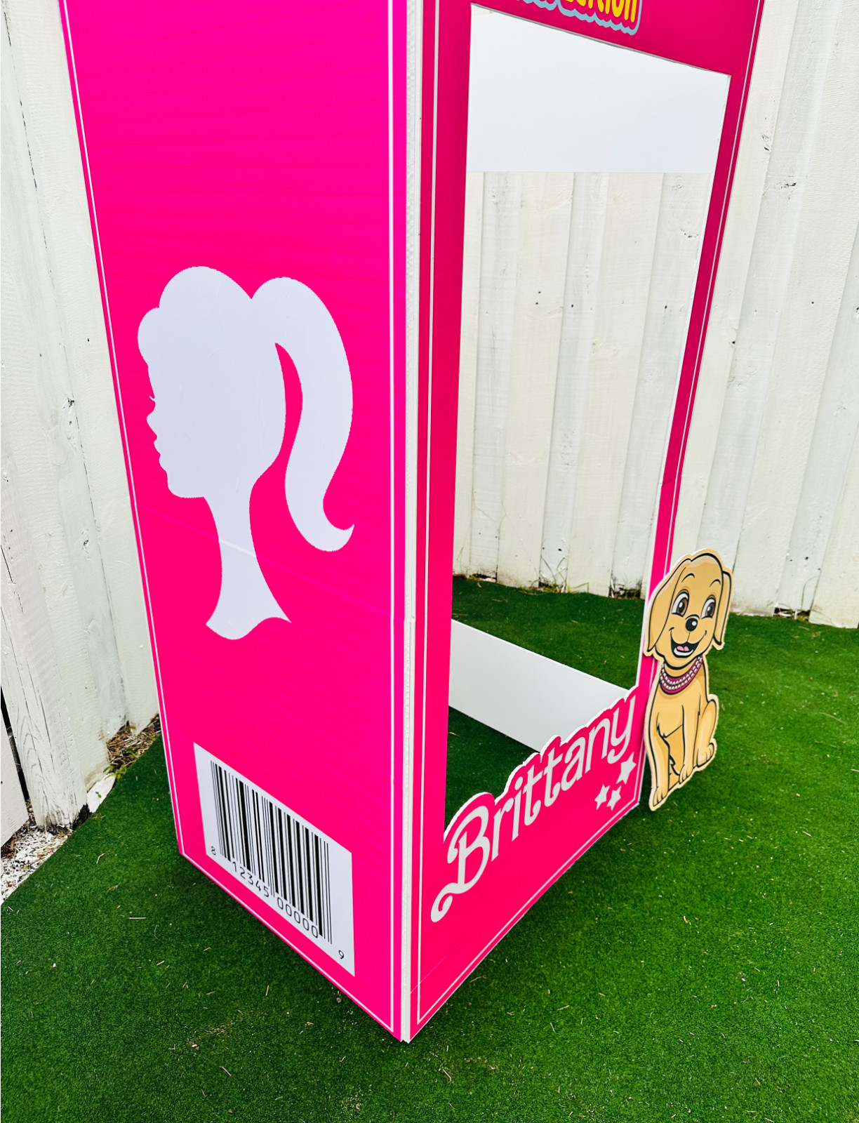 Doll photo booth, popular pink doll, birthday girls, barbie inspiration