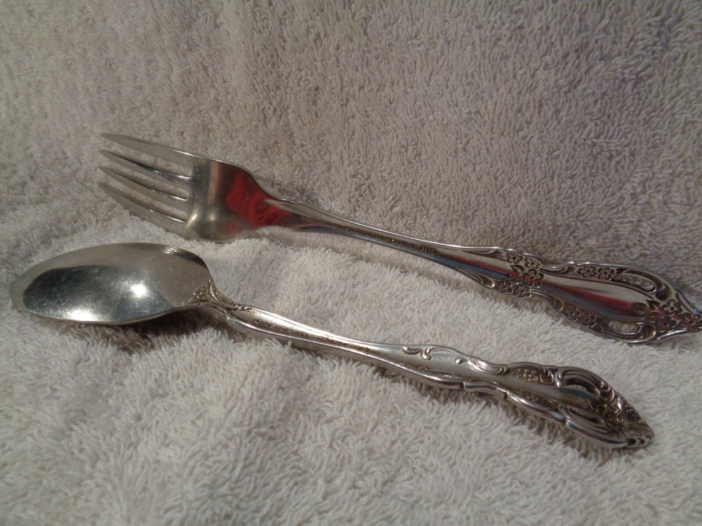 Oneida Stainless Fork & Spoon