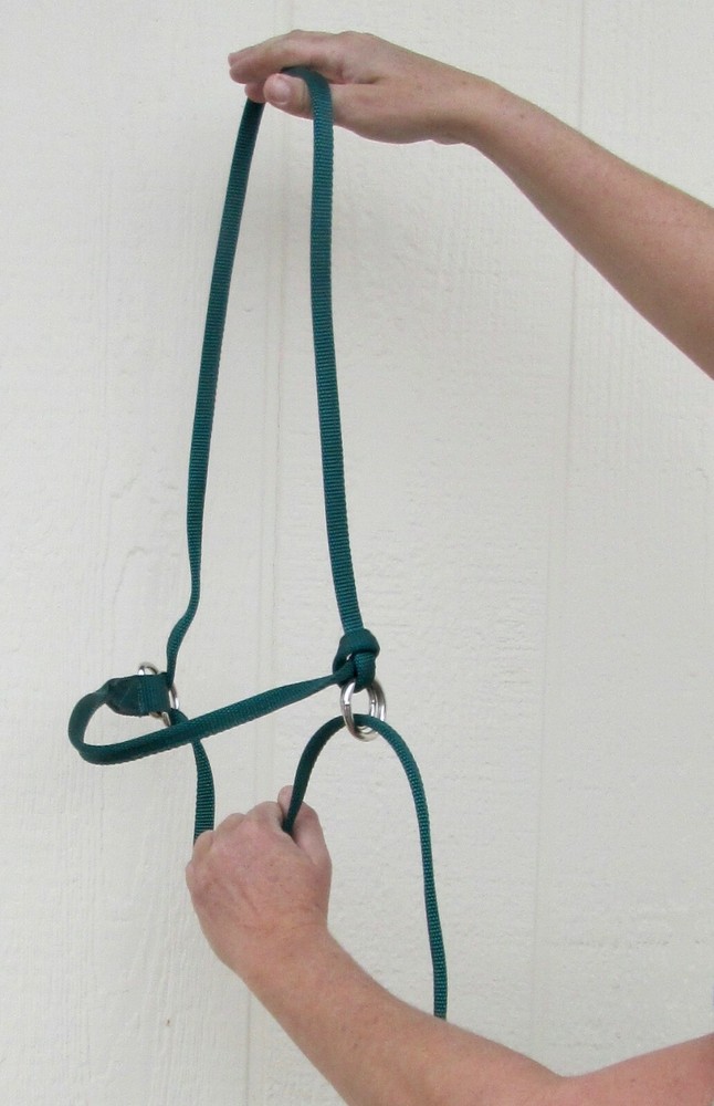 Halter All SMALL Yearling Calf, Mini Cow Endless Adjustable Breaking PATTERN USA
