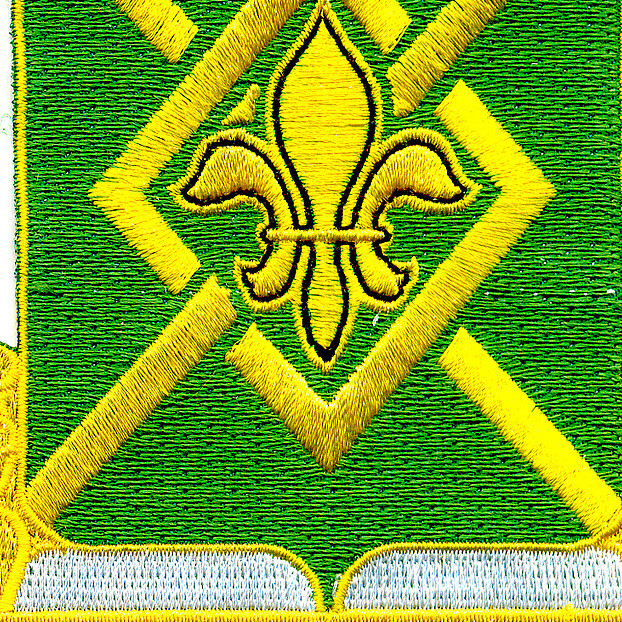 384th Military Police Battalion Patch
