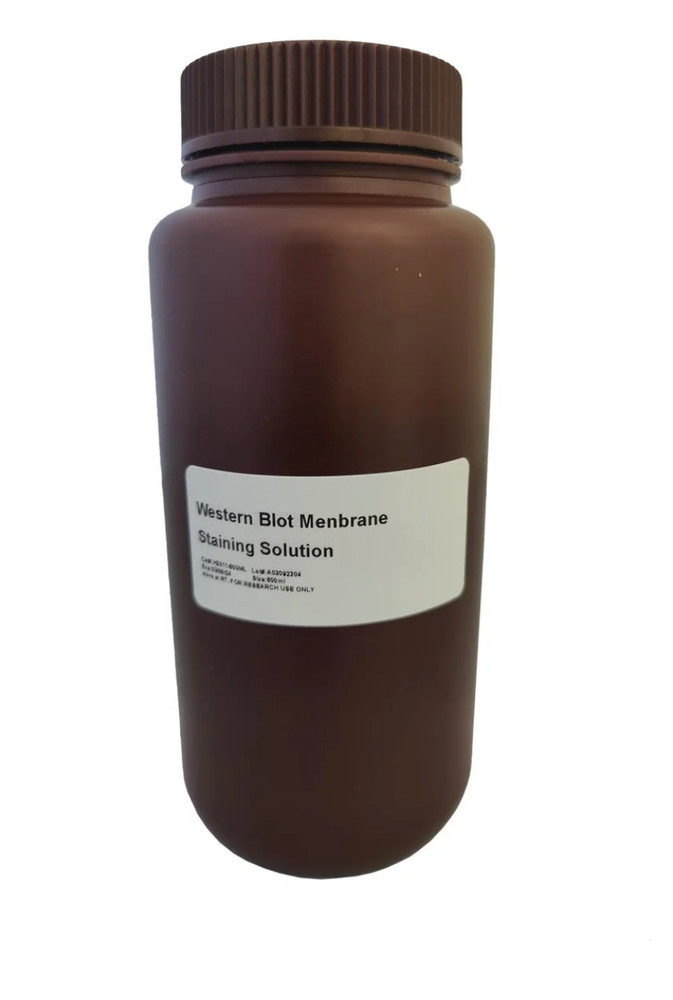 Membrane Staining Solution, 100mL